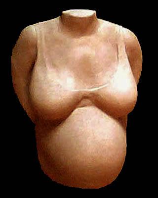 belly-bra.jpg (20915 bytes)