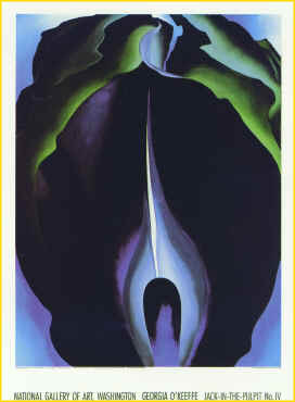 georgiaokeefe2.jpg (22227 bytes)