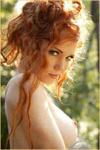 hc-7.jpg (41229 bytes)