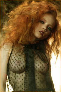 hc-8.jpg (85424 bytes)