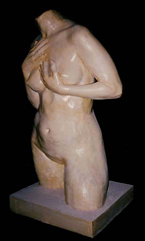 moxie-uncovered-torso.jpg (16796 bytes)