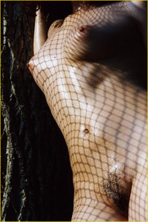 sativa-net.jpg (45385 bytes)