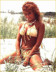 suz-dune.jpg (34889 bytes)