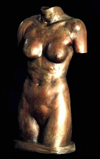 tanyatorso.jpg (28725 bytes)